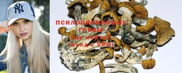 бошки Алексеевка