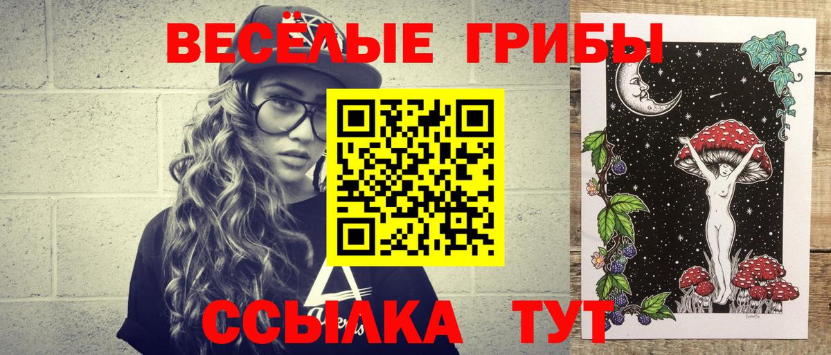 Галлюциногенные грибы прущие грибы Переславль-Залесский